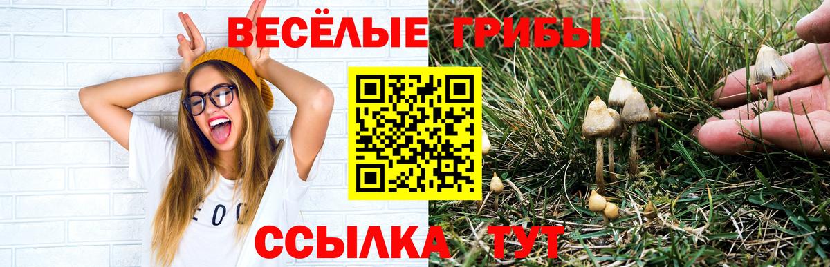 Галлюциногенные грибы мицелий  Вход с VPN  Сунжа 