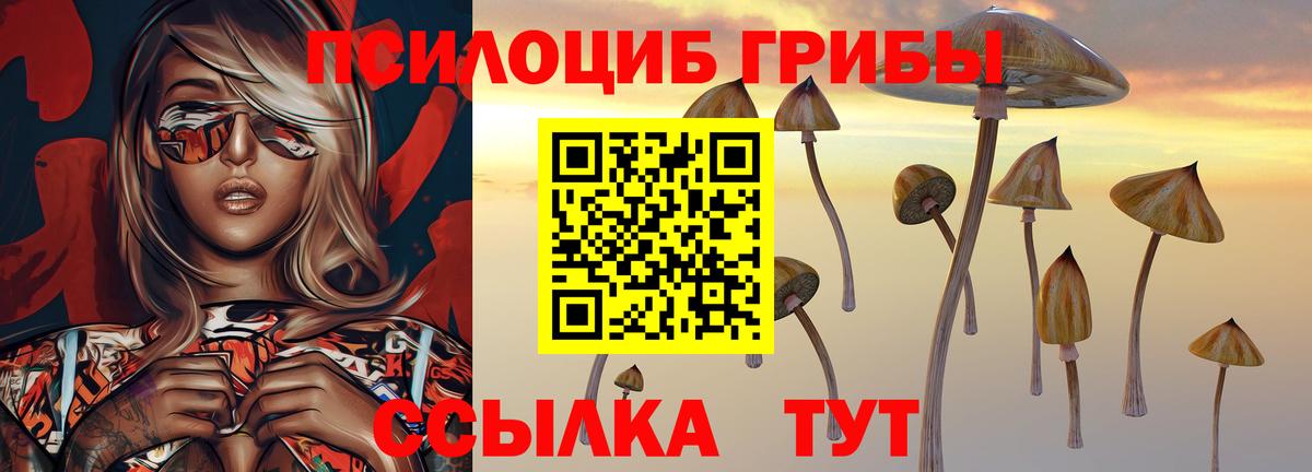 Галлюциногенные грибы MAGIC MUSHROOMS Сунжа